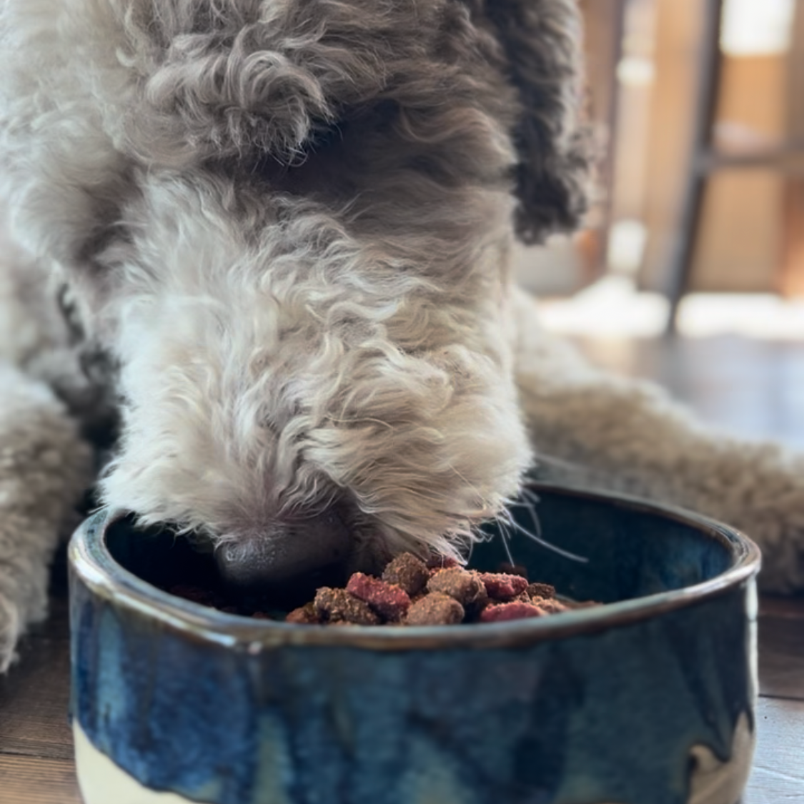 Pawttery Slow Feeders for Dogs