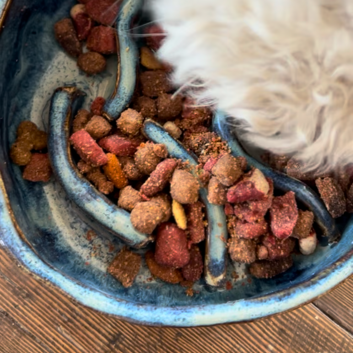 Pawttery Slow Feeders for Dogs