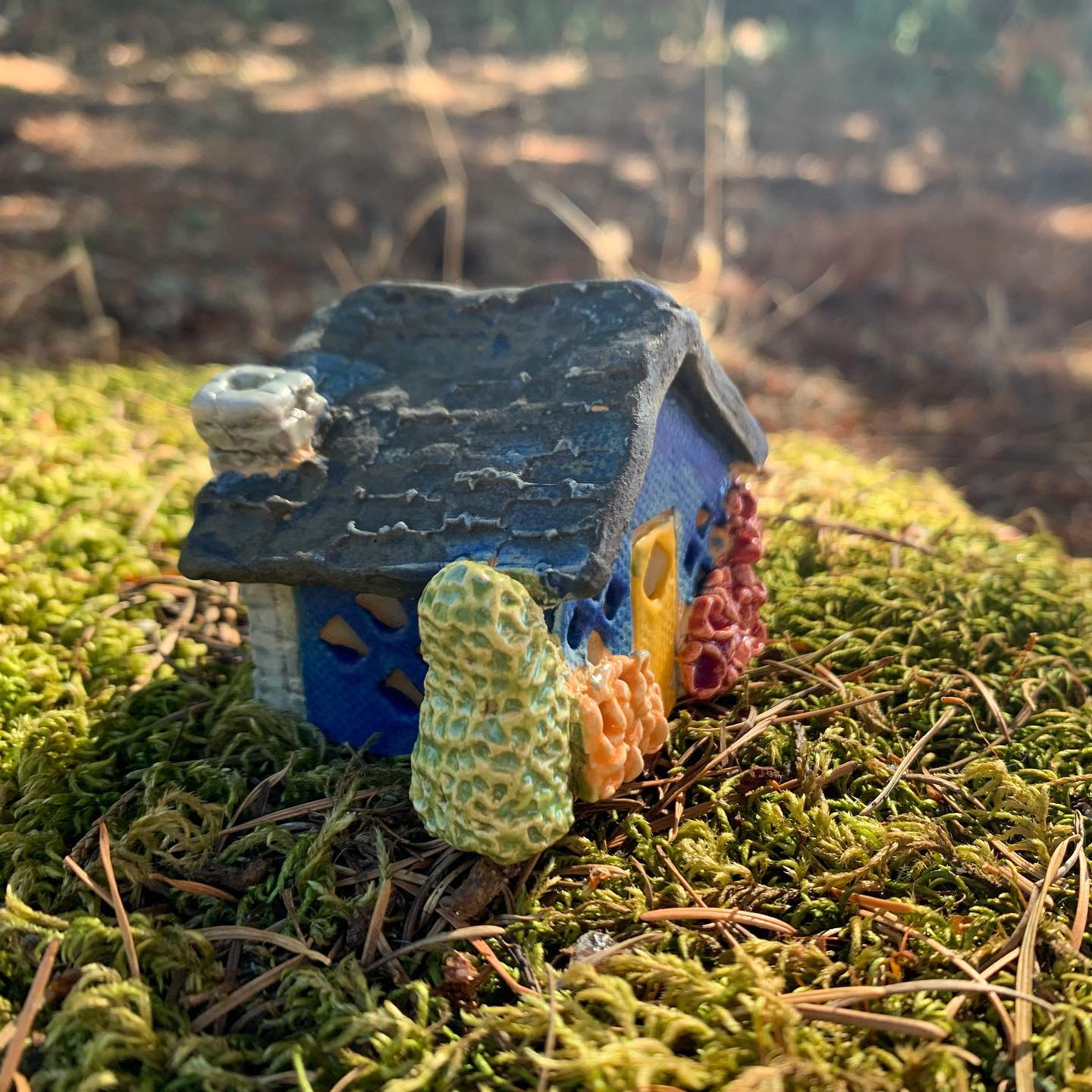 Tiny Houses & Fairy Gardens! -- Pullman