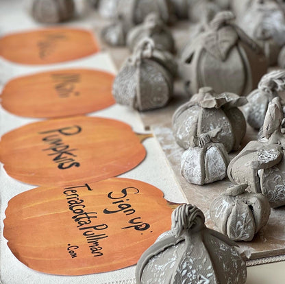 Mini Pottery Pumpkin Patch