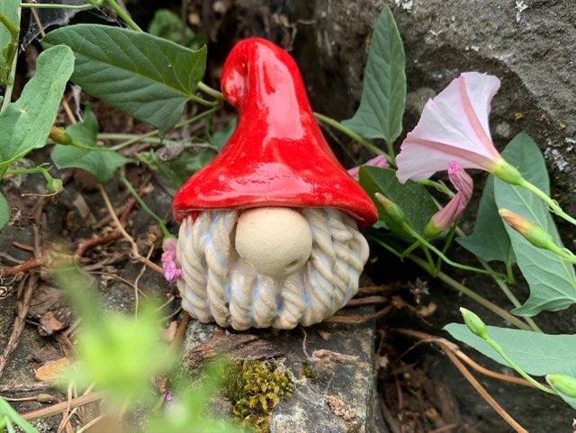 Gnomes at (g)Noon Saturdays -- Pullman