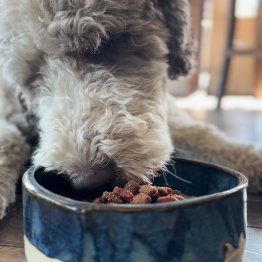 Pawttery Slow Feeders for Dogs