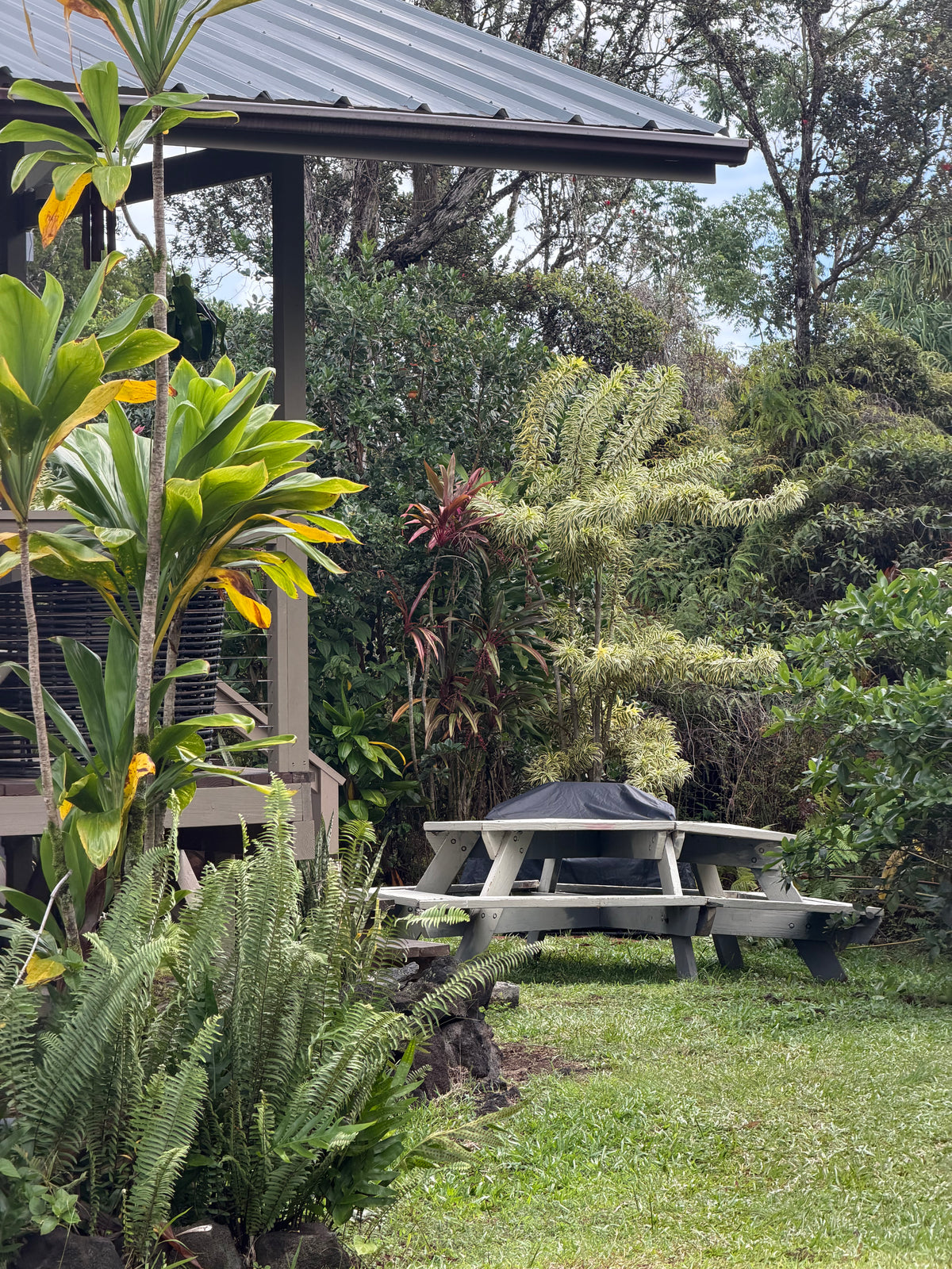 4-Day Off-Grid Pottery Retreat in Hawaii