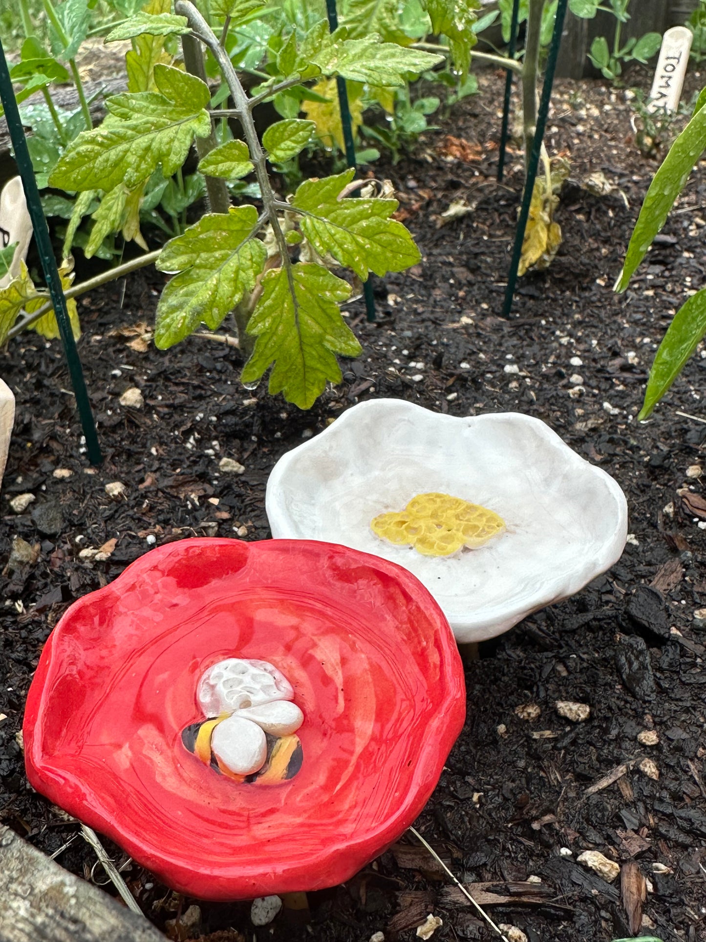 Pollinator Drink Cups