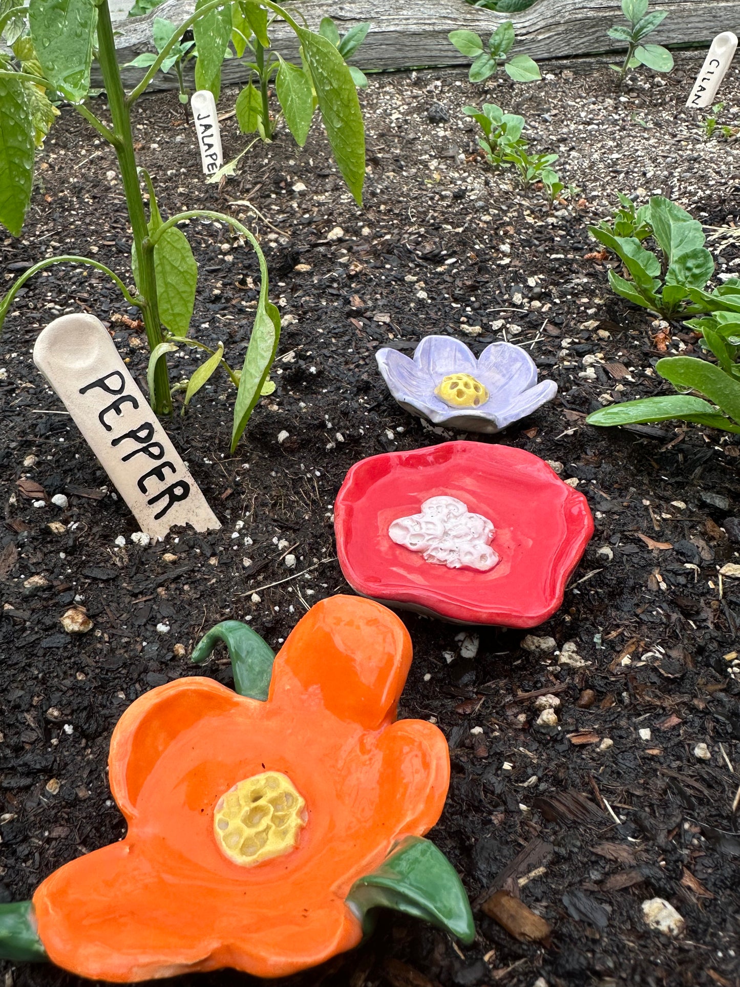 Pollinator Drink Cups