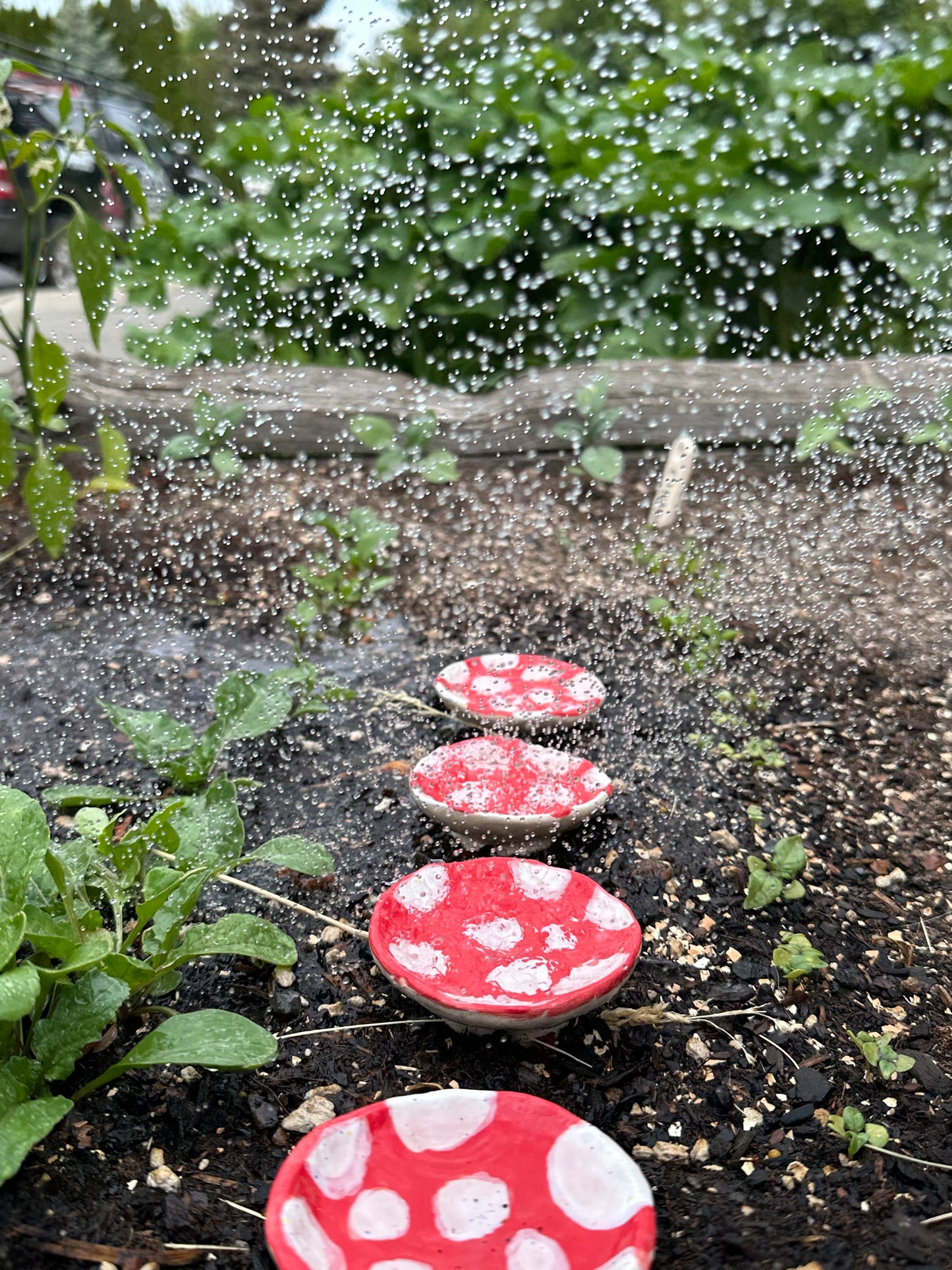 Pollinator Drink Cups