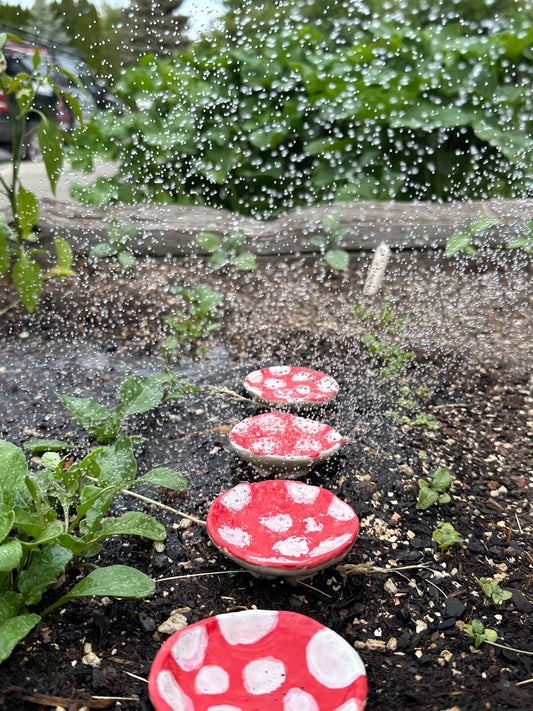 Pollinator Drink Cups