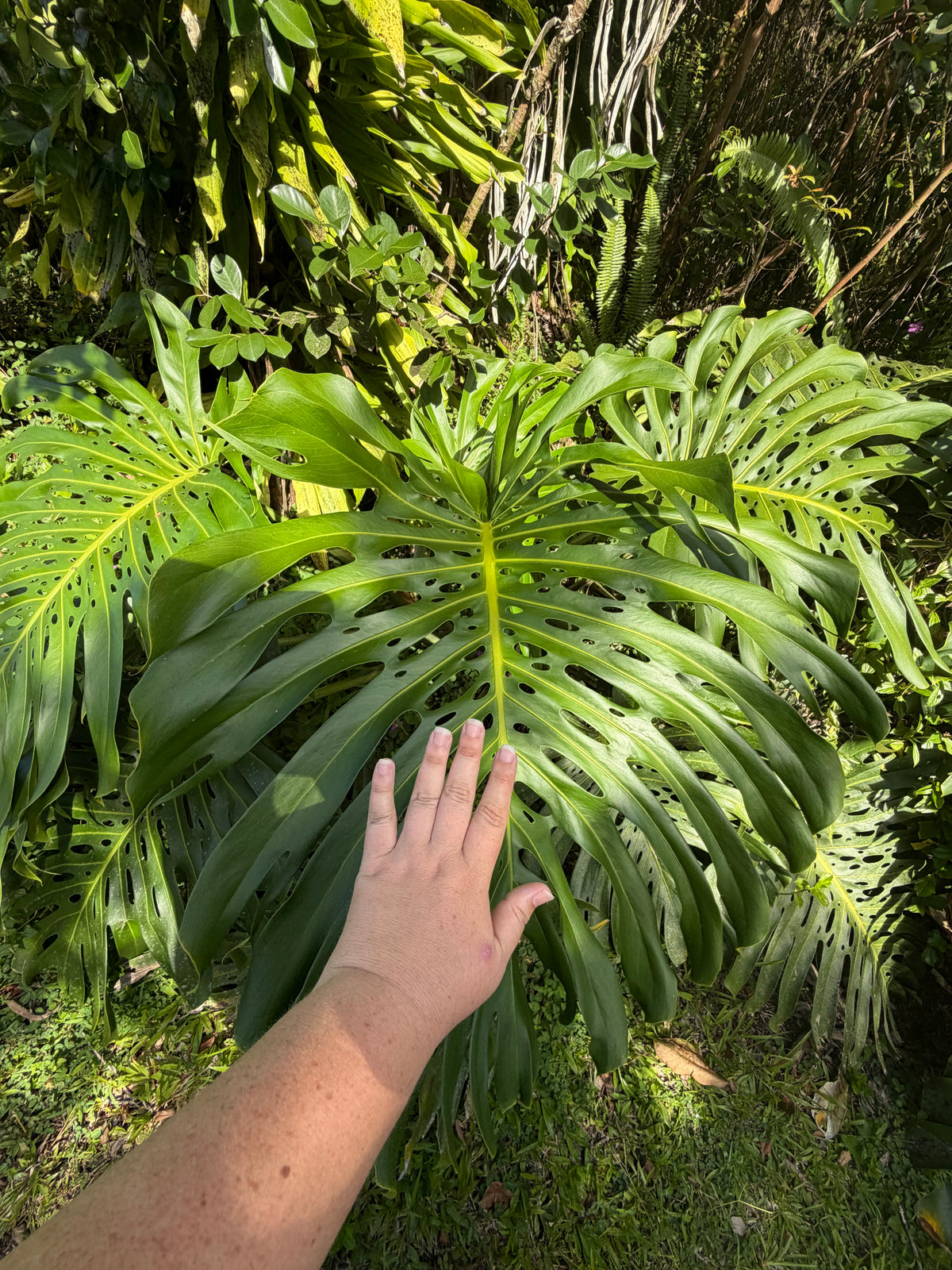 5-Day Off-Grid Artist Retreat — Terracotta Makuu, Big Island of Hawaii