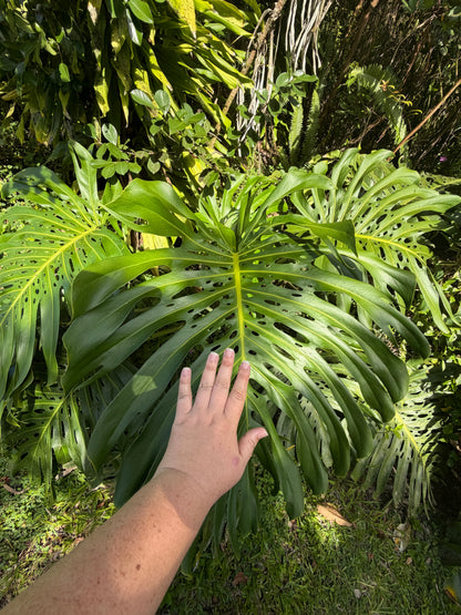 5-Day Off-Grid Artist Retreat — Terracotta Makuu, Big Island of Hawaii