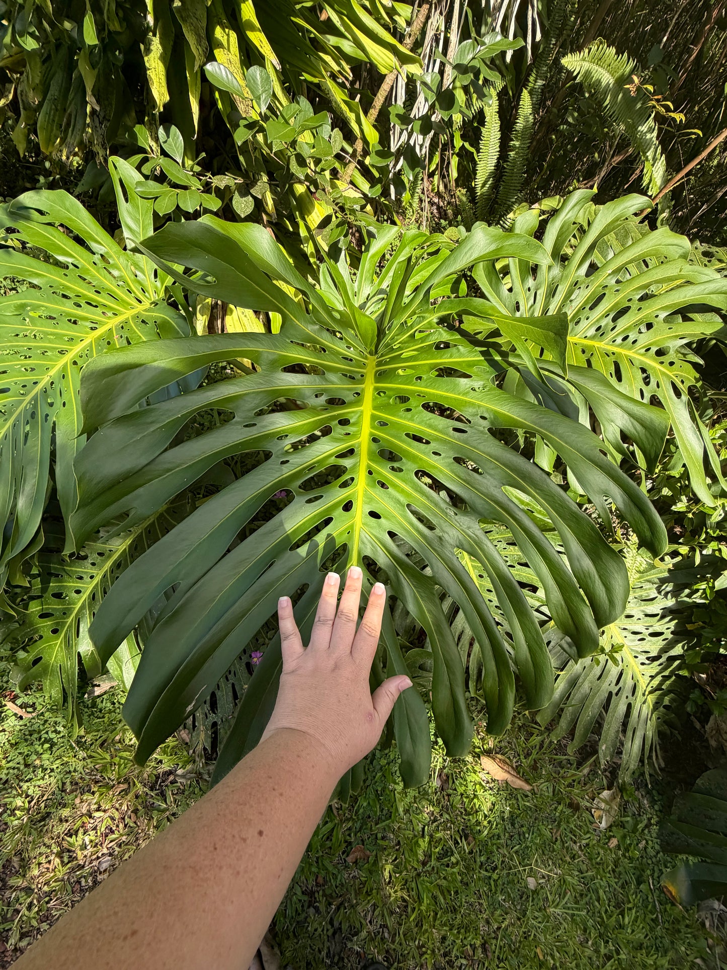 7-Day Off-Grid Artist Retreat — Terracotta Makuu, Big Island of Hawaii