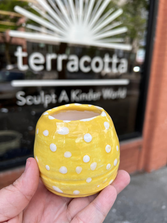 Bud Vases on the Wheel